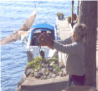 Osprey release